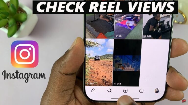 See Reel Views on Instagram