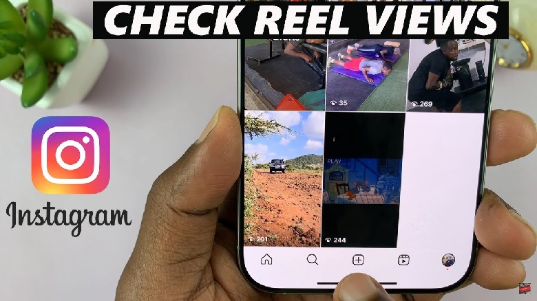 See Reel Views on Instagram